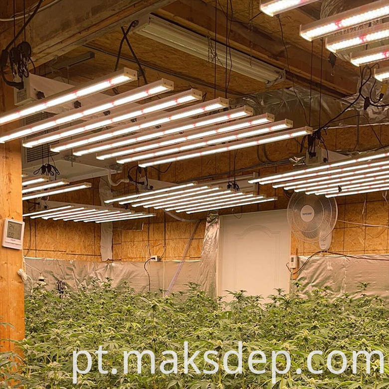 4x8 grow lights